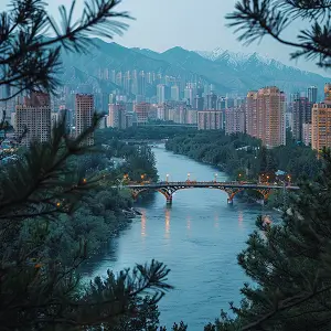 塔里木大学俞彬简介