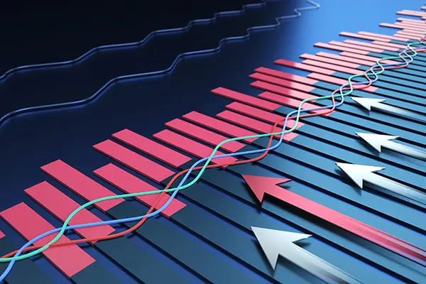 西华大学林琳简介