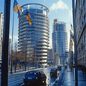 武汉大学刘总简介